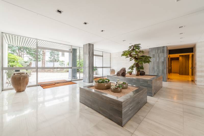 45 rue Notre-Dame des Champs, 75006 Paris - parties communes